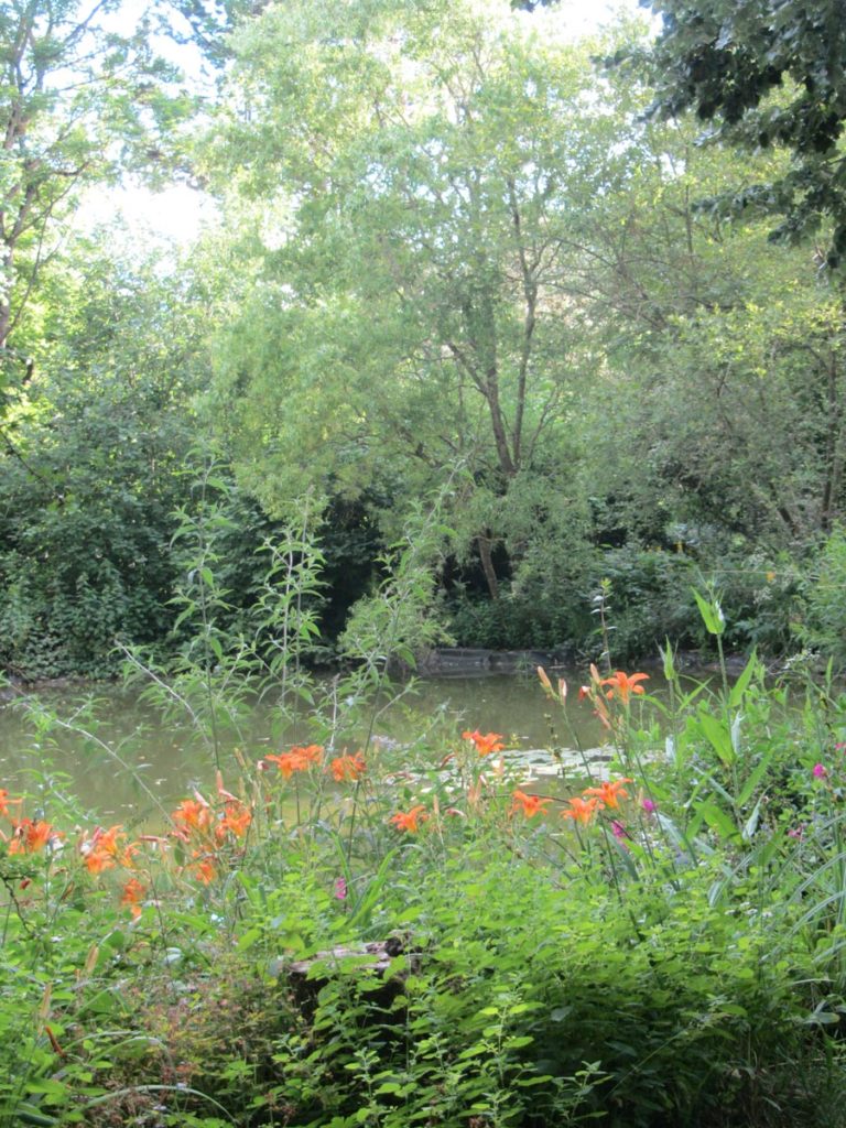 Le jardin des Bergeries